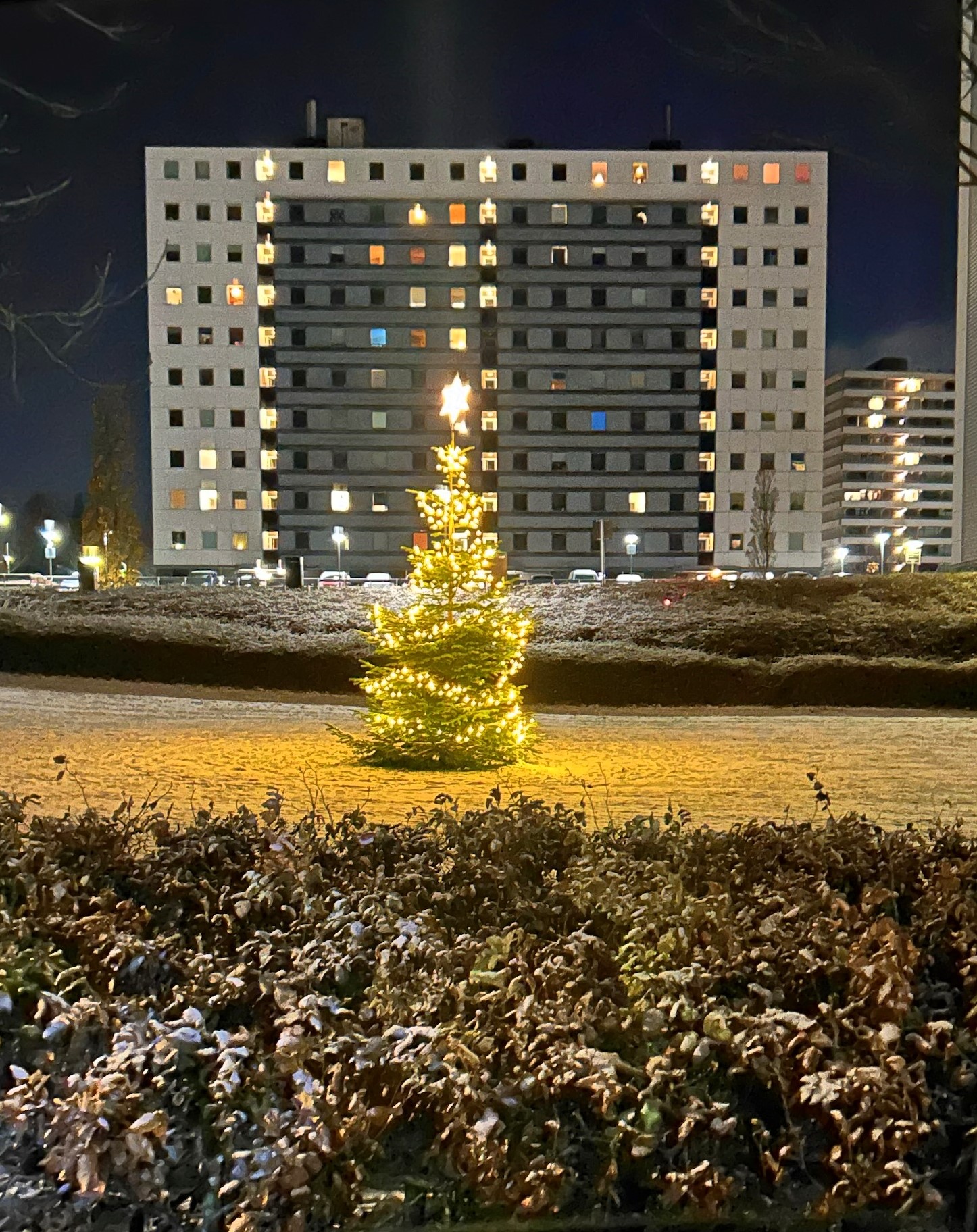 julehjerte